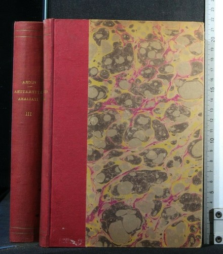 Storia della letteratura - storia,