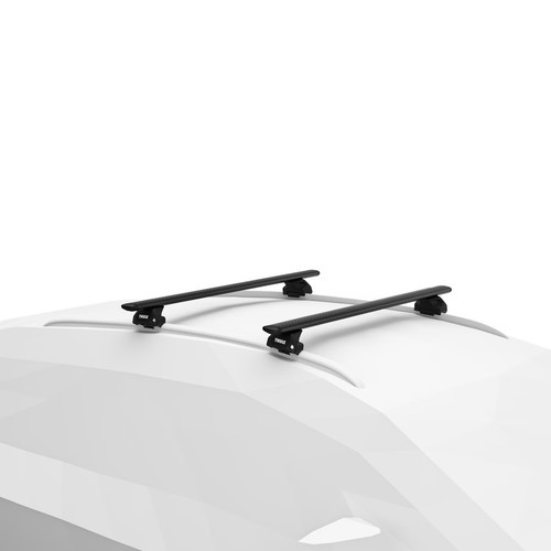 Barre portatutto thule evo - barre,