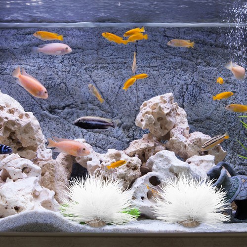 Piante acquatiche finte - ,