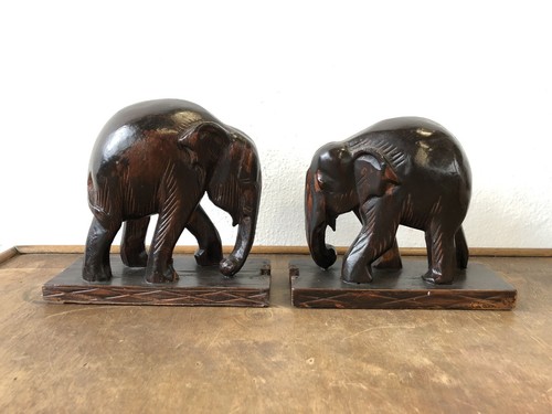 Coppia elefanti africa - coppia,