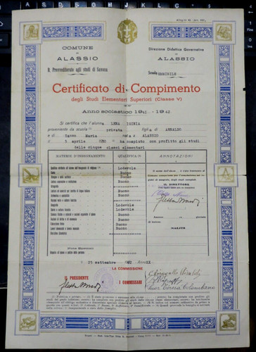 Pagella diploma certificato - pagella, di