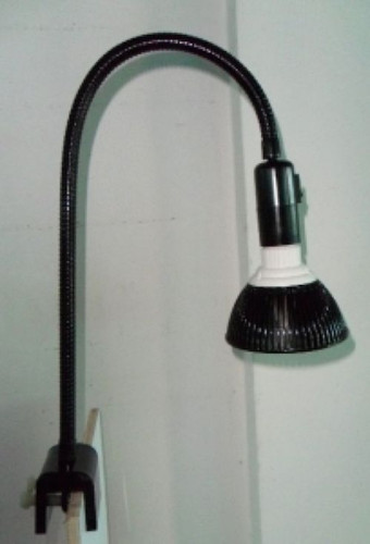 Acquario reef cree lampadina - reef,
