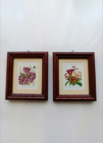 Due quadri con stampe - , fiori