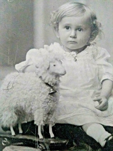 Cabinet card kabinett bimba - card,