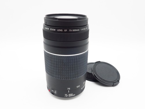 Obiettivo canon zoom - obiettivo,
