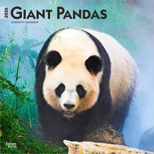Panda Giganti | Calendario da
