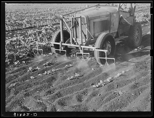 Clewiston florida 1939 - clewiston,