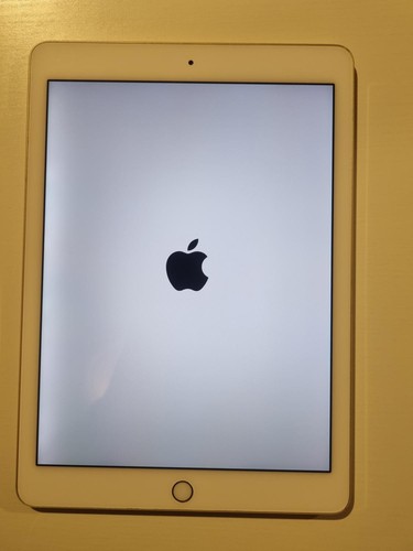 Apple ipad air - 16, gb