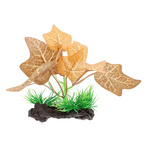 Piccole piante acquario - ,