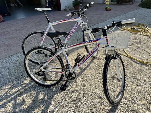 Mountain bike bottecchia - bike,