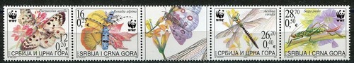Serbia montenegro 2004 - serbia,