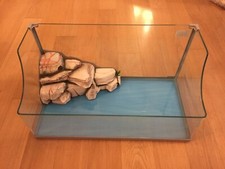 Acquario per tartarughe d'acqua usato ottimo stato 44x22x22cm 