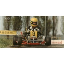 Quadro Ayrton Senna Dap Go