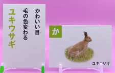 Coppia carte Karuta carta