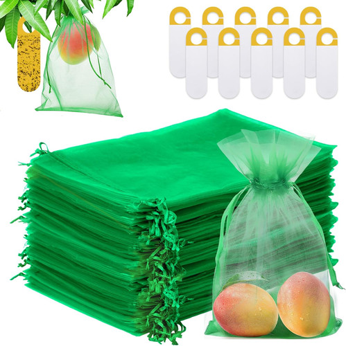 100 pezzi sacchetti - 100,