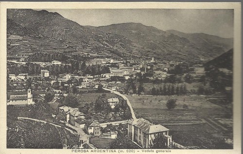 Perosa argentina - perosa, (m.