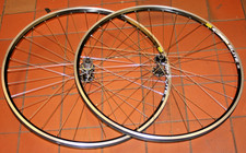 COPPIA RUOTE MICHE PRIMATO