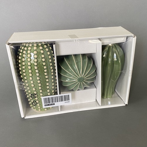 Set decorazione cactus - 3,