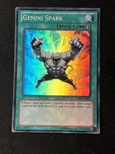 Gemini Spark - AP02-EN011 -