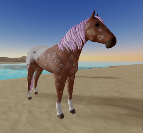 Wild horse islands - horse,