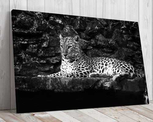 Leopardo tela montata - leopardo,