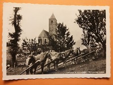 Avelengo (Bolzano). Chiesa di santa Caterina - Cavalli - Haflinger Pferde.
