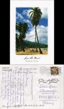 Porto Rico Luquillo beach La playa spiaggia dei Caraibi palma Porto Rico 2004