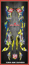 Can-Am Bombardier DS450 EFI DS