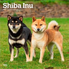 Shiba Inu | Calendario da