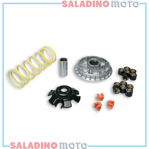 Variatore malossi multivar - malossi,