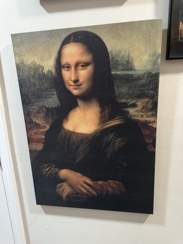 Stampa tela monna - tela, lisa