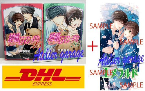 Nuovo junjou romantica - junjou,