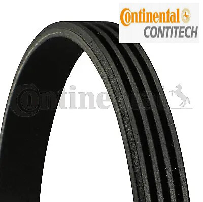 Cintura costine v adatta - a,
