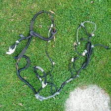 Cablaggio cablaggio portellone