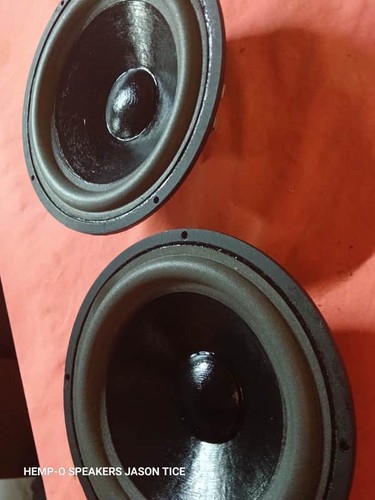 Coppia woofer vifa m21wn - woofer,