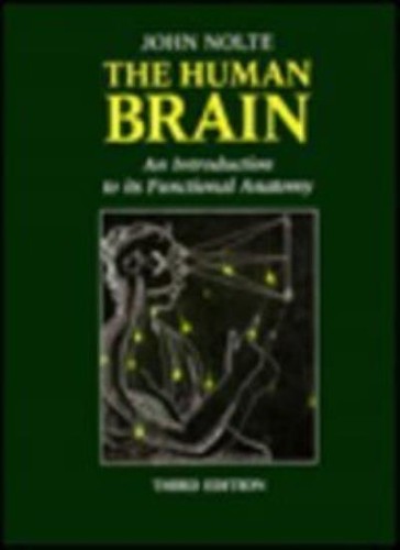 The human brain an - the, brain: