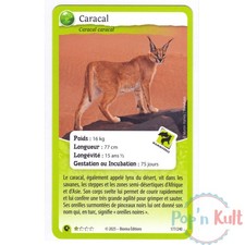 Carte Défis Nature Protect 177/240 Caracal ★ [FR] Aventures Sauvages NM