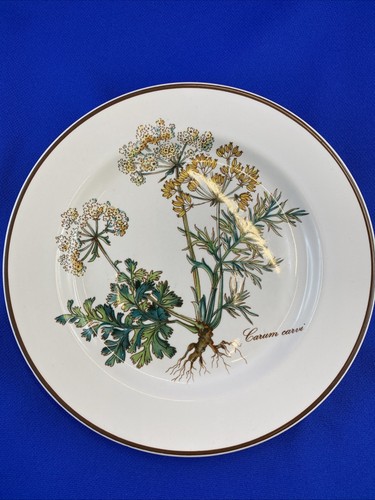 Villeroy boch botanica carum - villeroy,