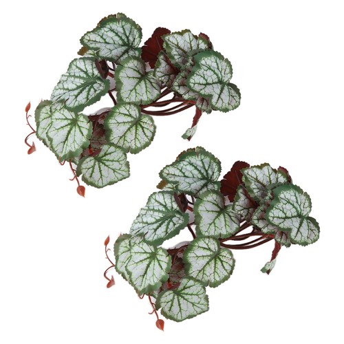2pcs foglie heuchera - 2pcs,