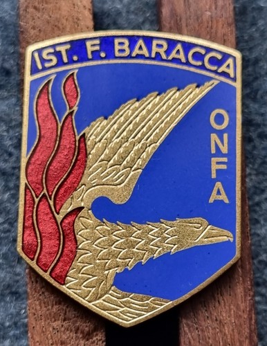 Distintivo aeronautica - distintivo,