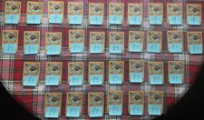 34 Kabuto 1° Edizione Pokemon