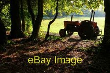 Photo 6x4 Cattistock Cricket