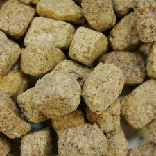 Artemia salina liofilizzata per pesci d'acqua dolce e salata. Brine shrimps food