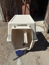 Trasportino Petmate Sky Kennel Giant (#700) omologato IATA