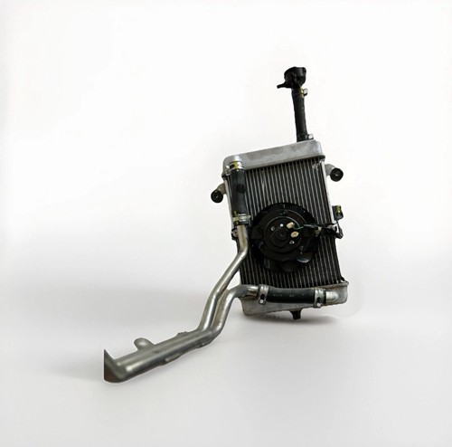 Radiatore acqua honda 300 - sh,