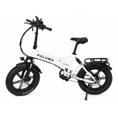 Bicicletta elettrica fat - elettrica,