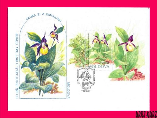 Moldavia 1993 flora flowers - moldavia,