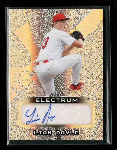 2026 leaf electrum - 2026, doyle