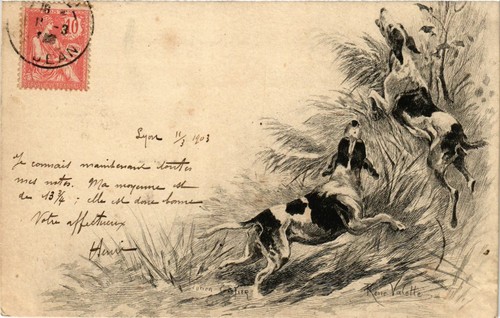 Cpa kurzhaar dogs - dogs, (746005)