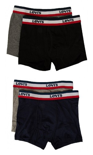 Boxer bimbo levi maschio - bimbo,